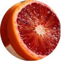 Citrus Sinensis - Blood Orange