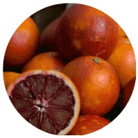 Citrus Sinensis - Blood Orange