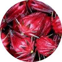 Hibiscus Sabdariffa