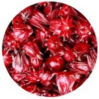 Hibiscus Sabdariffa - Roselle
