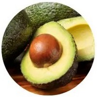 Aguacate-Persea Americana