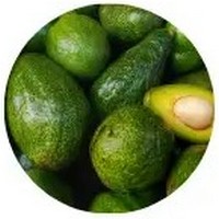 Aguacate-Persea Americana