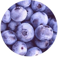 Arandano - Vaccinium