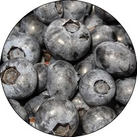 Arandano - Airelle - Bilberry - Vaccinium