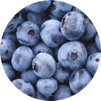 Arandano - Airelle - Bilberry - Vaccinium