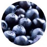 Arandano - Bilberry - Blueberry