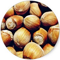 Avellana - Hazel Nut