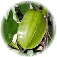 Averrhoa Bilimbi