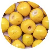 Byrsonima Crassifolia - Nance Fruit