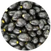 Canarium Odontophyllum - Dabai Fruit