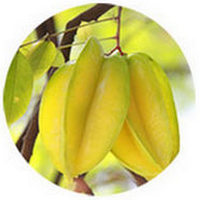 Carambola: Averrhoa Carambola