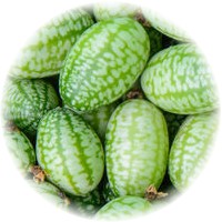 Cucamelon - Melothria Scabra