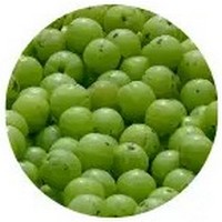 Phyllanthus Emblica - Amla Fruit