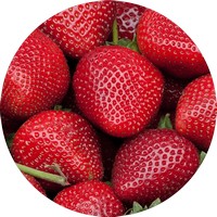 Fresa-Strawberry