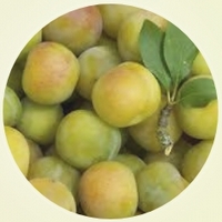 Greengages - Ciruelas Verdes
