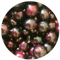 Jaboticaba: Myrciaria Cauliflora