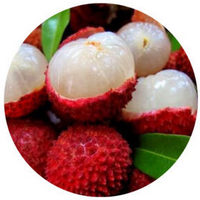 Litchi Chinensis