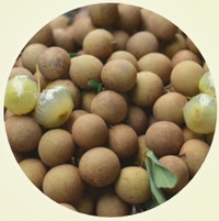 Dimocarpus Longan - Ojo de Dragon