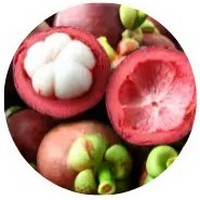 Mangostan - Mangosteen