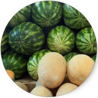 Melon: Cucumus Melo - Watermelon