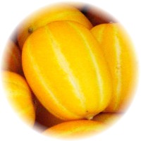 Korean Melon
