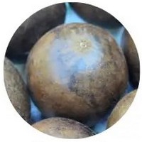 Arhat - Siraitia Grosvenorii - Fruta Monje