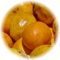 Caryocar Brasiliense