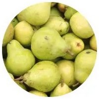 Pera - Pyrus Communis