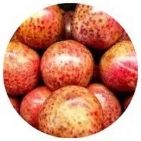 Pluots - Dinosaur Egg