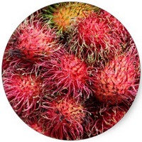 Rambutan: Nephelium Lappaceum