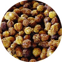 Kutjera - Solanum Centrale