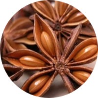 Star Anise - Illicium Verum