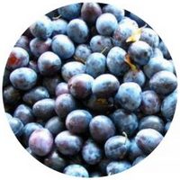 Acai - Euterpe Oleracea