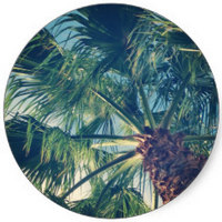 Palm Tree - Palmier