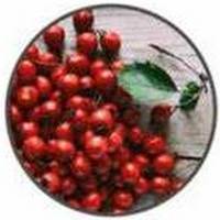 Espino - Hawthorn -Crataegus