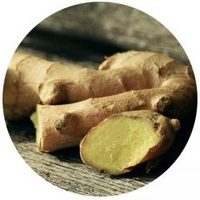 Raiz de Jengibre - Jengibre-Zingiber