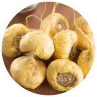 Lepidium Meyenii - Maca Root