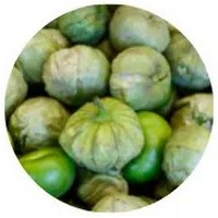 Tomatillo - Physalis Pubescens