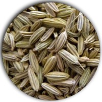 Hinojo: Foeniculum - Fennel