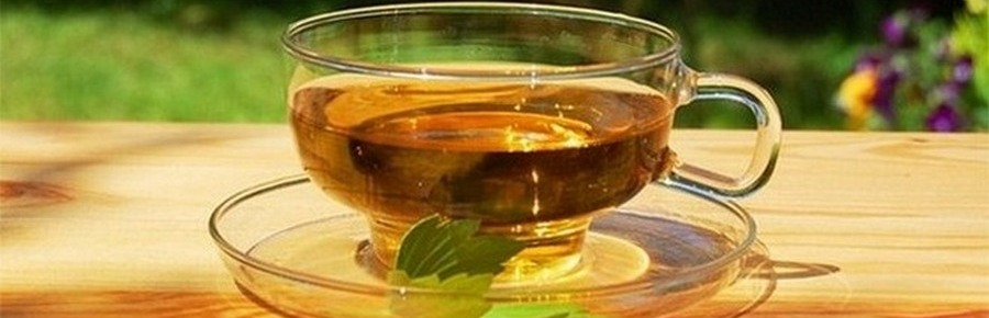 Infusiones y Tisanas