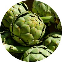 Alcachofa: Cynara Scolymus