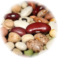 Alubia - Phaseolus Vulgaris