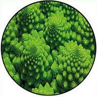 Brecol - Brassica Oleracea Italica