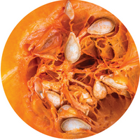 Semillas de Calabaza