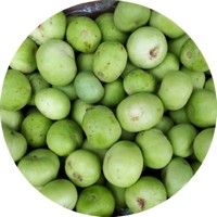 Praecitrullus Fistulosus o Tinda