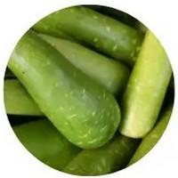 Bottle Gourd - Lagenaria Siceraria