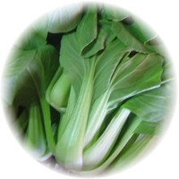 Brassica Rapa
