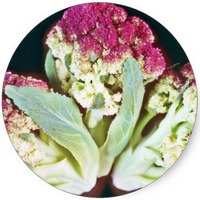 Coliflor: Brassica Oleracea var. Botrytis