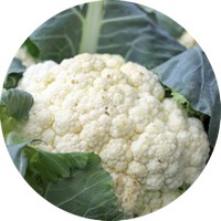 Coliflor: Brassica Oleracea var. Botrytis