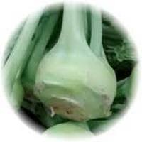 Colirr&aacutebano: Brassica Oleracea var. Gongylodes